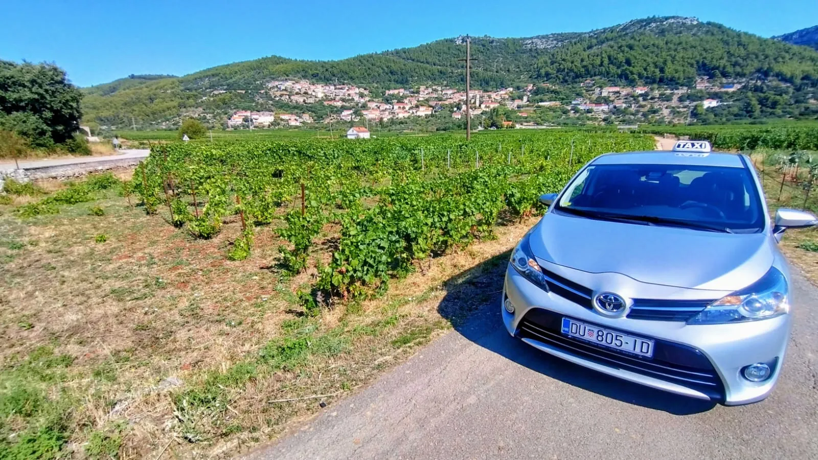 Korčula taxi next to vineyards on the way to a winery